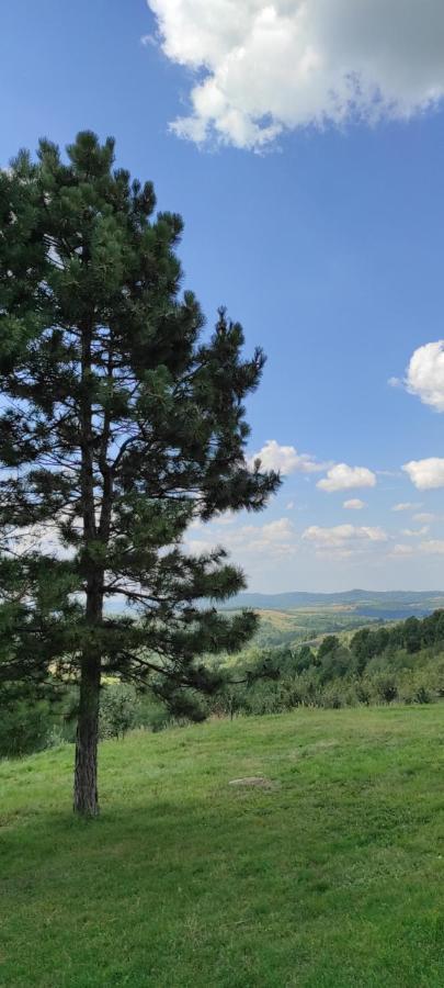 Vikend house Villa Ljig Buitenkant foto